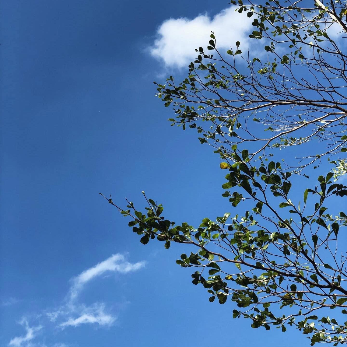 Chúng ta có thể thay đổi số mệnh được không